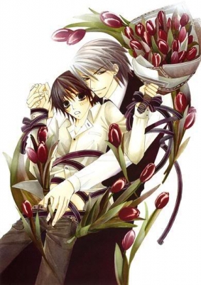 Junjou-Romantica