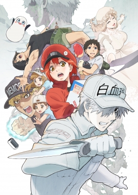 Hataraku-Saibou-2nd-Season